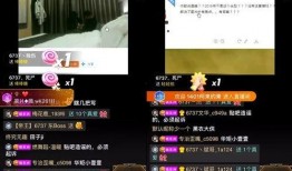 快乐东西爆料视频,独家爆料视频深度解析