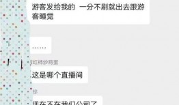 爆料主播互撕视频大全集,视频大全集深度解析