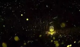 流萤爆料最新消息新闻,最新消息揭示重大新闻事件