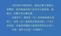 河北保定爆料视频,城市生活新视角