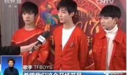 央视爆料小天才视频大全,小天才视频大全背后的真相