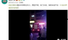 一周内的爆料视频,热点事件背后的真相揭晓