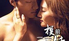 电影模特在线观看,线上演绎时尚传奇