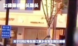 女律师被锤的爆料视频,真相揭露与舆论风暴