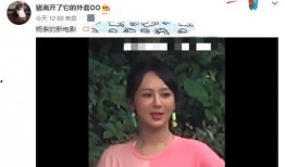 杨紫飞天涯爆料视频播放,揭秘娱乐圈幕后真相