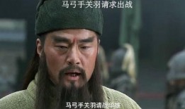 新三国演义三国在线观看,再现三国风云，重温英雄传奇