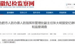 合肥新闻爆料,聚焦城市热点事件，揭示幕后真相