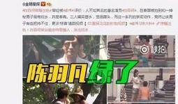 飞哥奶茶爆料事件视频播放,真相与舆论的碰撞