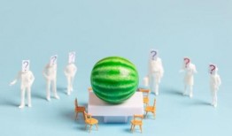 娱乐圈吃瓜爆料 汇总,揭秘明星背后的故事与真相