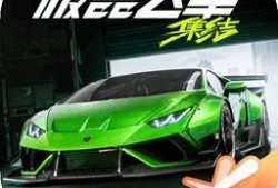 极品飞车在线观看八哥,八哥传奇，速度与激情的巅峰对决