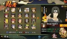 虎皮忍者爆料视频,视频内容深度解析