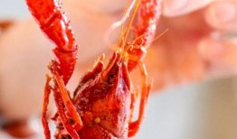 厦门龙虾爆料视频,现场实况直击，美味诱惑尽收眼底