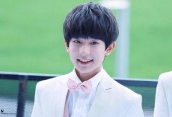 博主爆料王源视频大全,揭秘偶像魅力瞬间