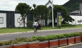 新闻爆料 南充,聚焦新闻爆料，揭示城市动态