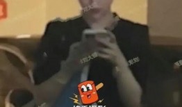 刘大锤最新爆料潘晓婷,潘晓婷惊人内幕引发热议