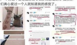 爆料卓宝视频,揭秘背后惊人真相