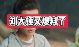 最新爆料娱乐圈刘大锤,揭秘明星背后的惊人真相！