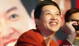 宋祖德爆料锋菲视频,揭秘王菲与锋菲恋情背后的真相