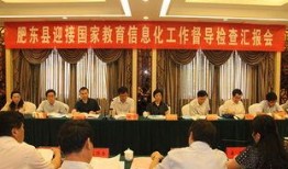 肥东县政府爆料事件视频,揭秘真相与争议