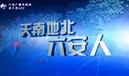 天南地北在线观看,跨越时空的在线之旅