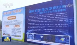 内江今天爆料新闻最新,今日最新爆料事件，真相即将揭晓！