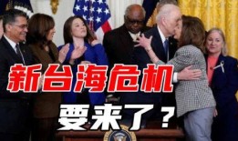 外媒佩洛西最新爆料视频,深度解读美国政治内幕