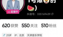 张兰最新直播爆料微博号,揭秘餐饮帝国背后的故事