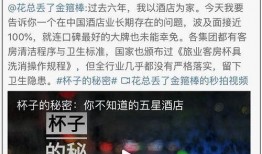 哪些大v可以爆料新闻,跟随这些知名大V追踪新闻爆料动态