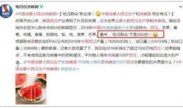 女销售吃瓜视频大全免费观看,趣味横生的职场瞬间