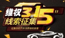 汽车打假爆料案例最新,最新案例深度剖析