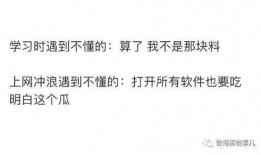 吃瓜婶婶知乎全文免费阅读,一场关于真相与娱乐的盛宴