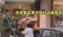 女律师被锤的爆料视频,真相揭露与舆论风暴