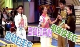 江苏女子爆料新闻视频大全,揭秘社会热点事件背后的真相