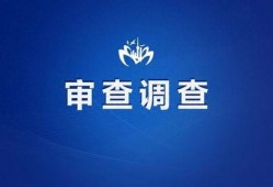 惠州清风网最新爆料视频,揭秘惠州某重大事件内幕