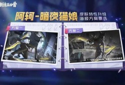 最新源梦爆料阿轲是谁,阿轲的真实身份，源梦爆料揭示神秘英雄背景