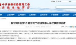 合肥新闻爆料,聚焦城市热点事件，揭示幕后真相