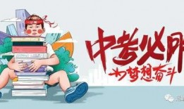 新宿大战爆料最新消息,独家爆料，揭秘幕后真相与精彩瞬间