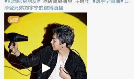 娱乐大爆料刘宇宁张翰,揭秘幕后故事与精彩瞬间