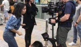 深圳摄影师爆料案件最新,揭秘背后惊人真相