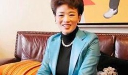 黄毅清最新爆料胡洁,胡洁事件最新进展揭秘