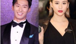 圈内爆料何超莲视频,圈内爆料背后的真相揭秘