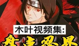 忍界最新爆料视频大全集,最新爆料视频大全集深度解析