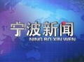 宁波新公司最新爆料新闻