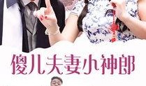 傻瓜 在线观看,轻松幽默的喜剧盛宴