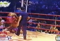 泰拳2在线观看,热血再燃，巅峰对决