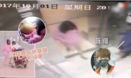 娱乐圈爆料大王是谁,揭秘幕后真相，揭秘娱乐圈风云人物