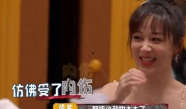 杨紫飞天涯爆料视频播放,揭秘娱乐圈幕后真相