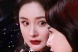 娱乐圈的瓜吃撑了