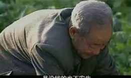 力王电影在线观看,巅峰对决，在线观影，热血沸腾！
