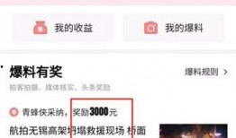 头条怎么进行新闻爆料,轻松掌握头条新闻爆料技巧